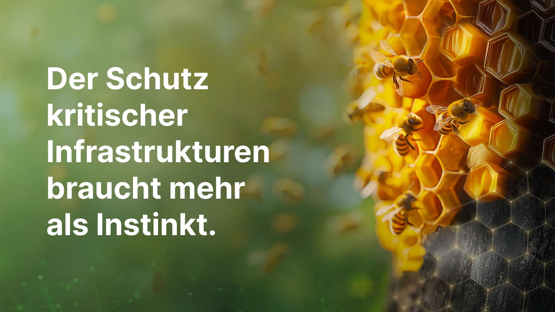 Eine Bienenwabe als Sinnbild für eine komplexe und schützenswerte Struktur.