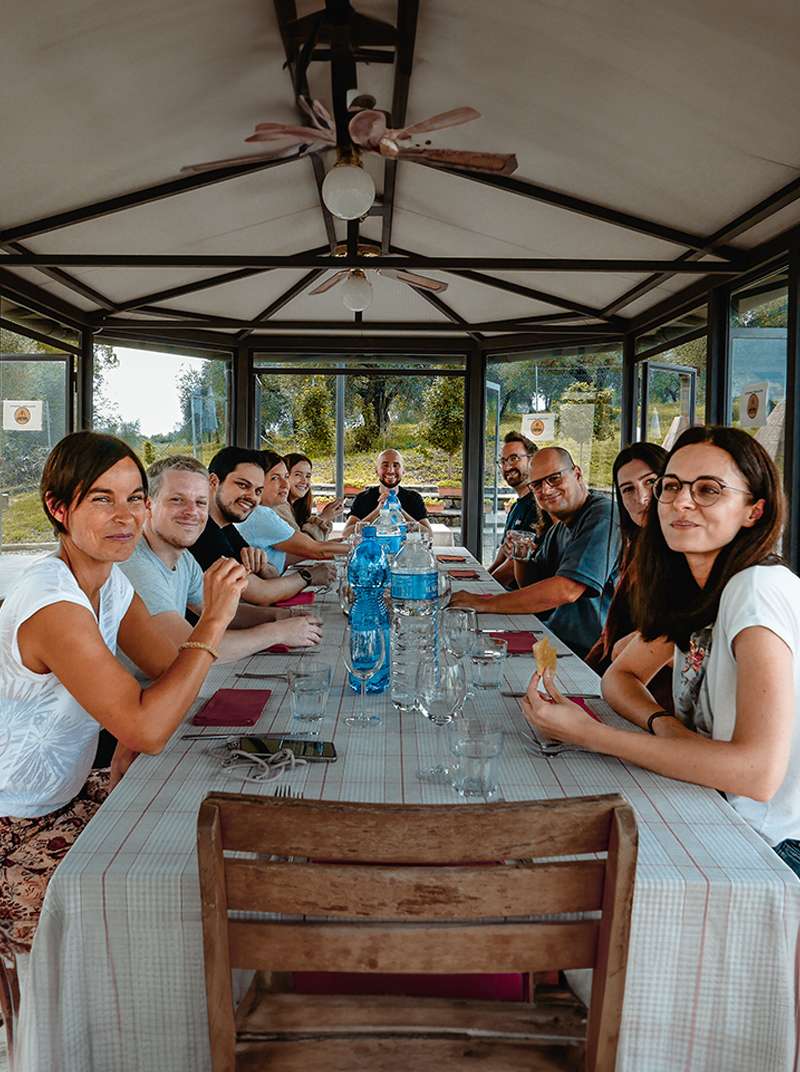 Das Flavour Team sitzt an einem langen Tisch in einem Gartenpavillon. Alle schauen in die Kamera und lachen. Auf dem Tisch stehen Gläser und Wasserflaschen.